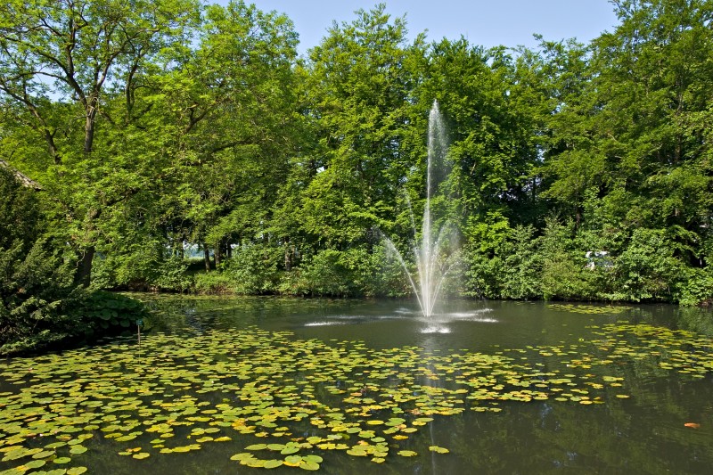 Original image