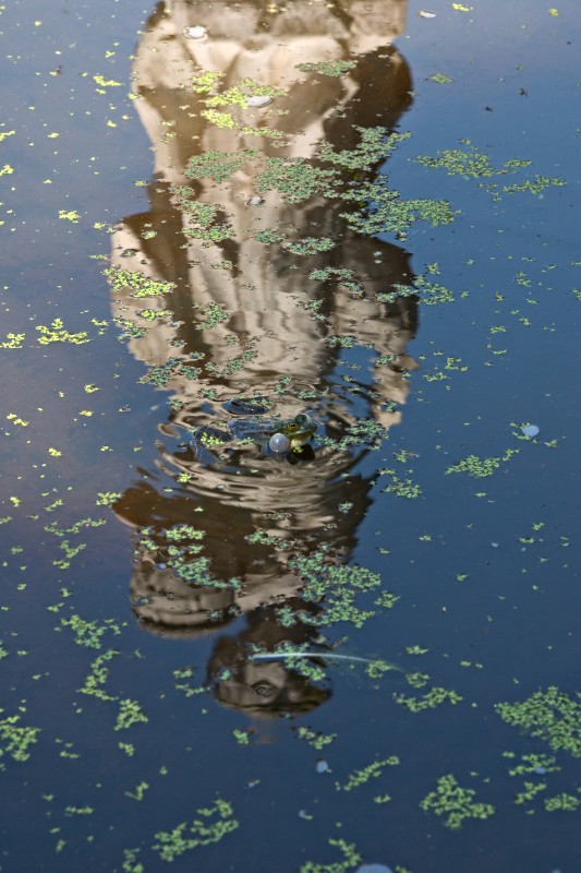 Original image