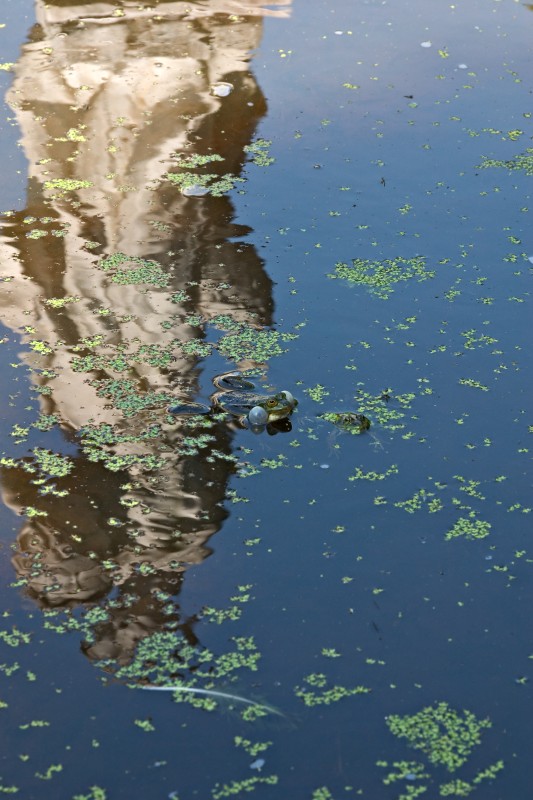 Original image