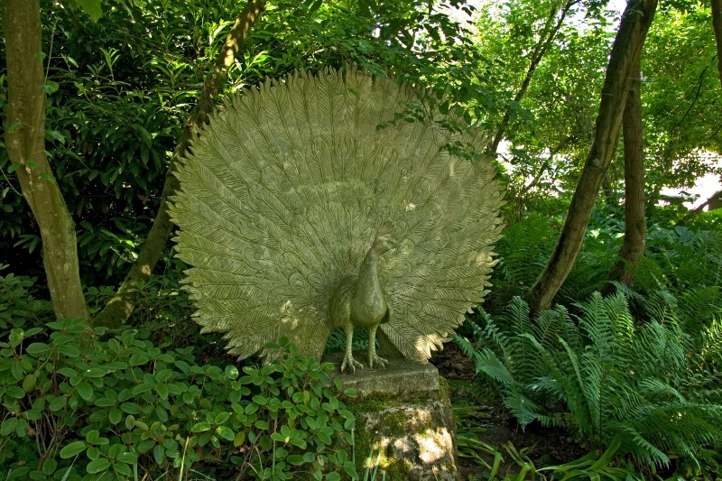 Original image