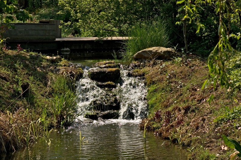 Original image