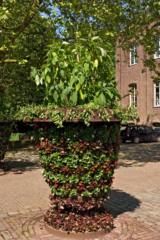 Original image