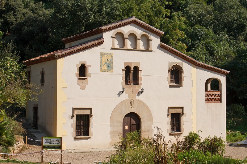 Original image