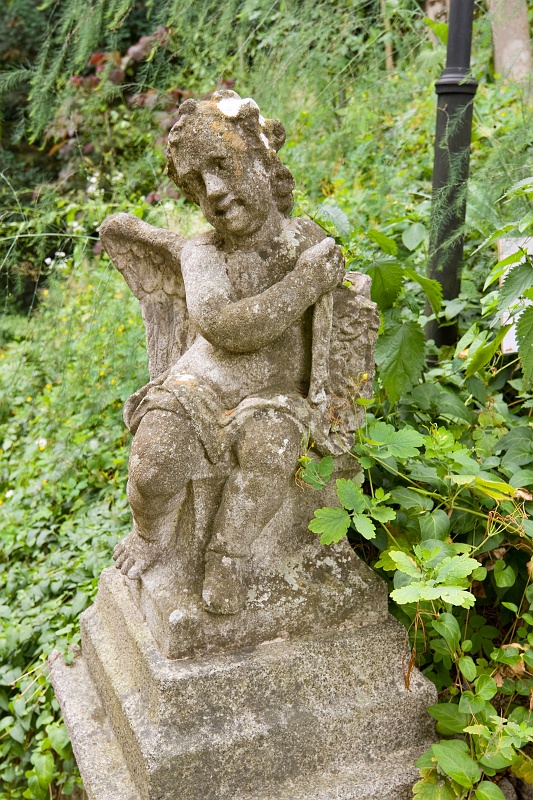 Original image