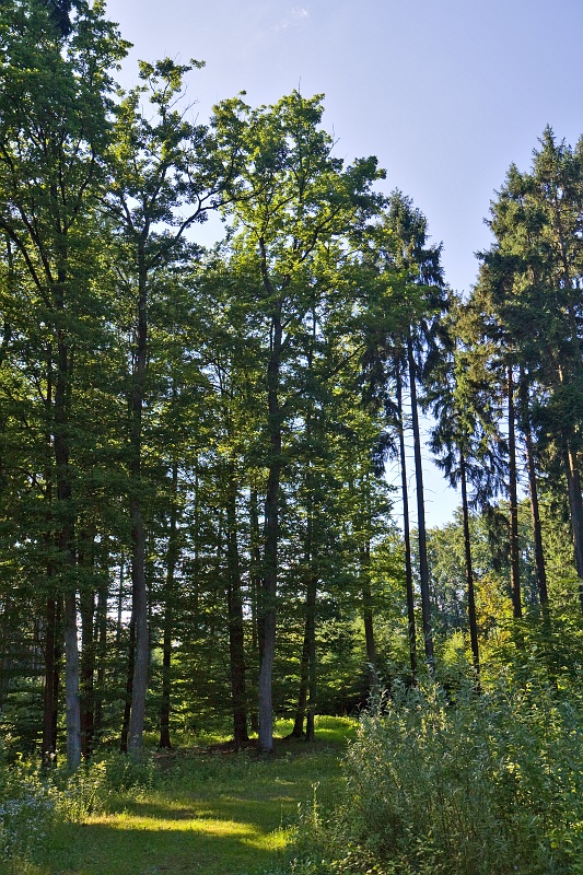 Original image