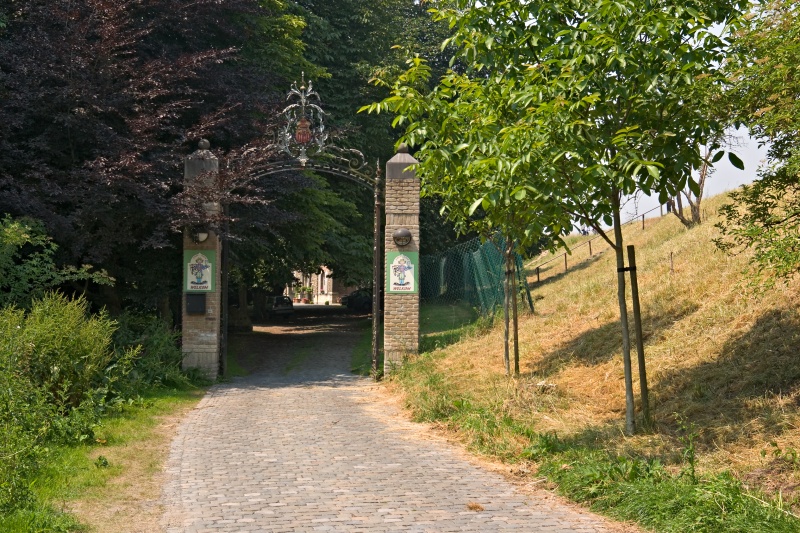 Original image