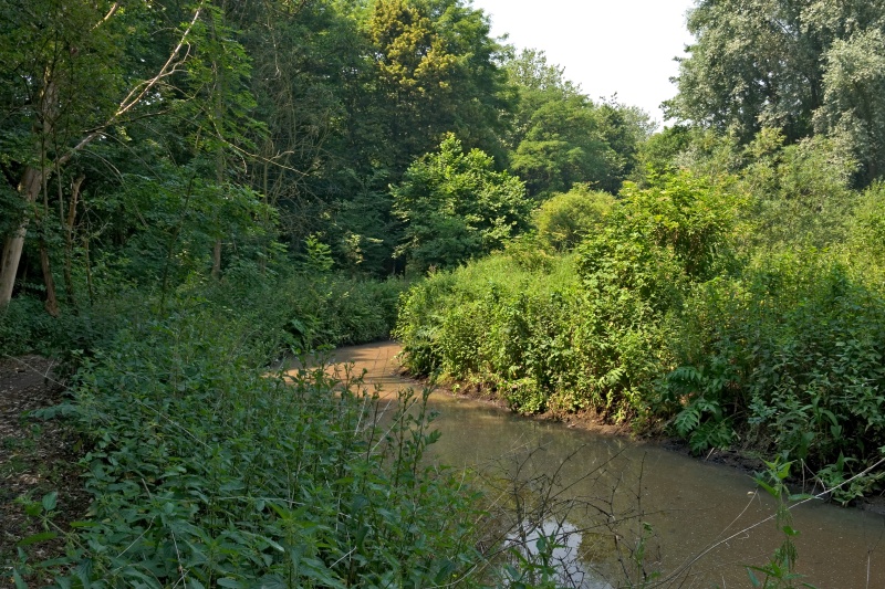 Original image