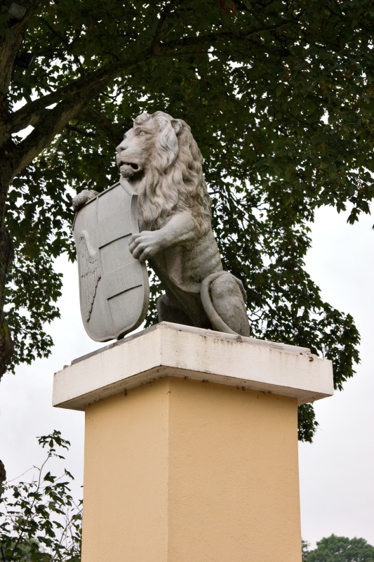 Original image