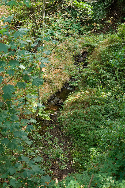 Original image