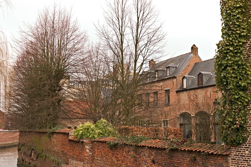Original image