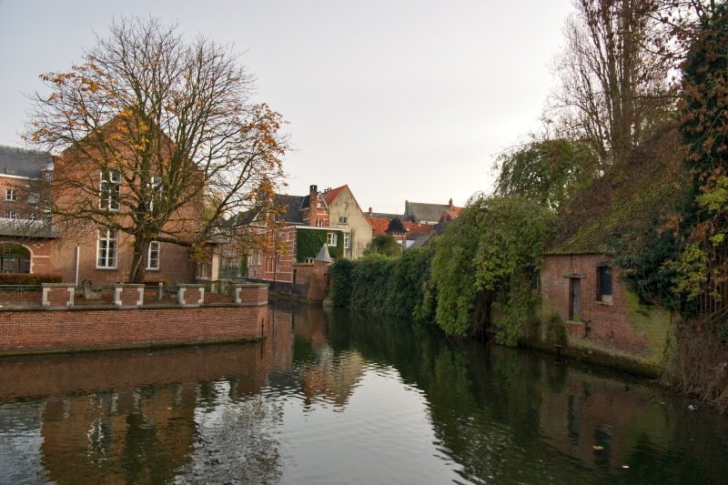 Original image