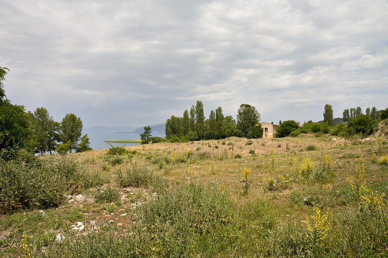 Original image