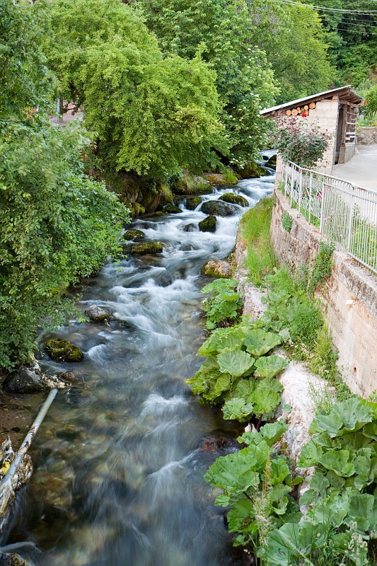 Original image