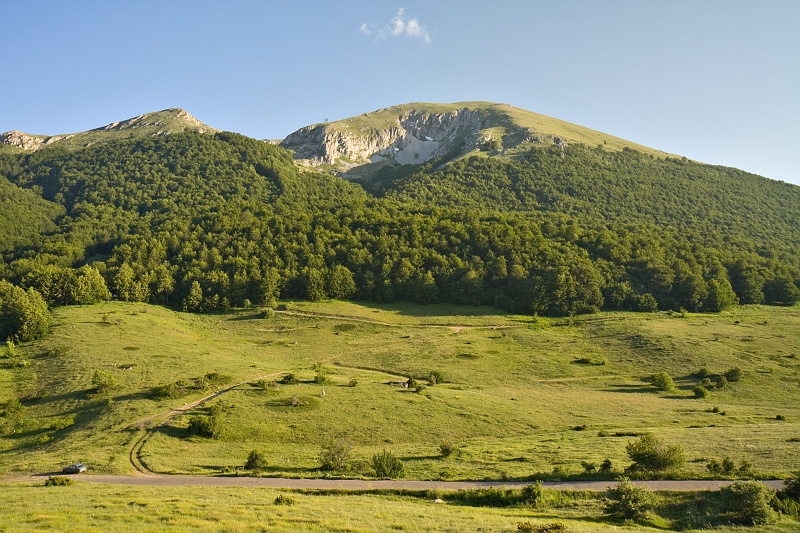 Original image