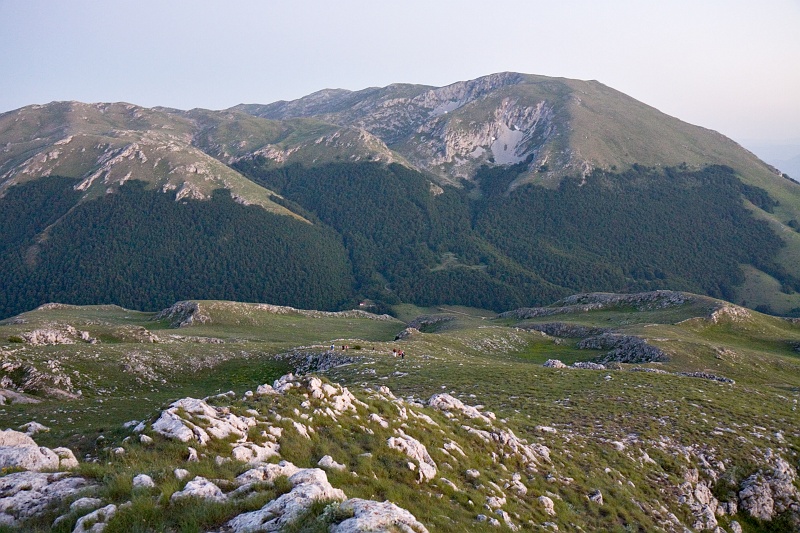 Original image