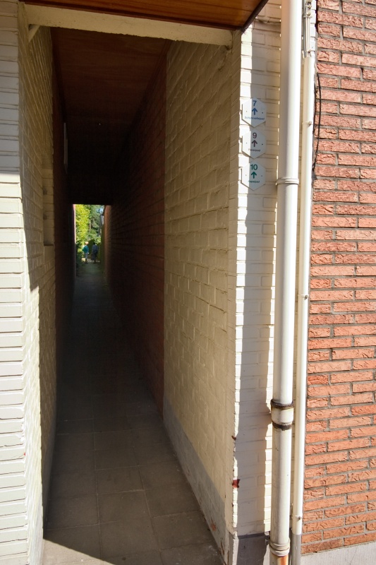 Original image