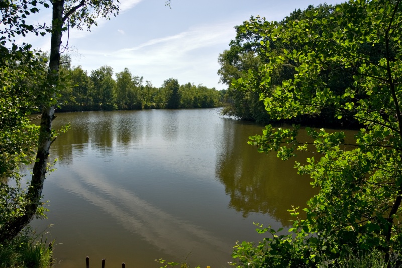 Original image