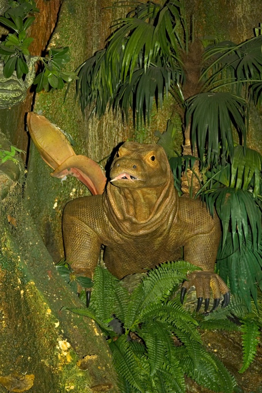 Original image
